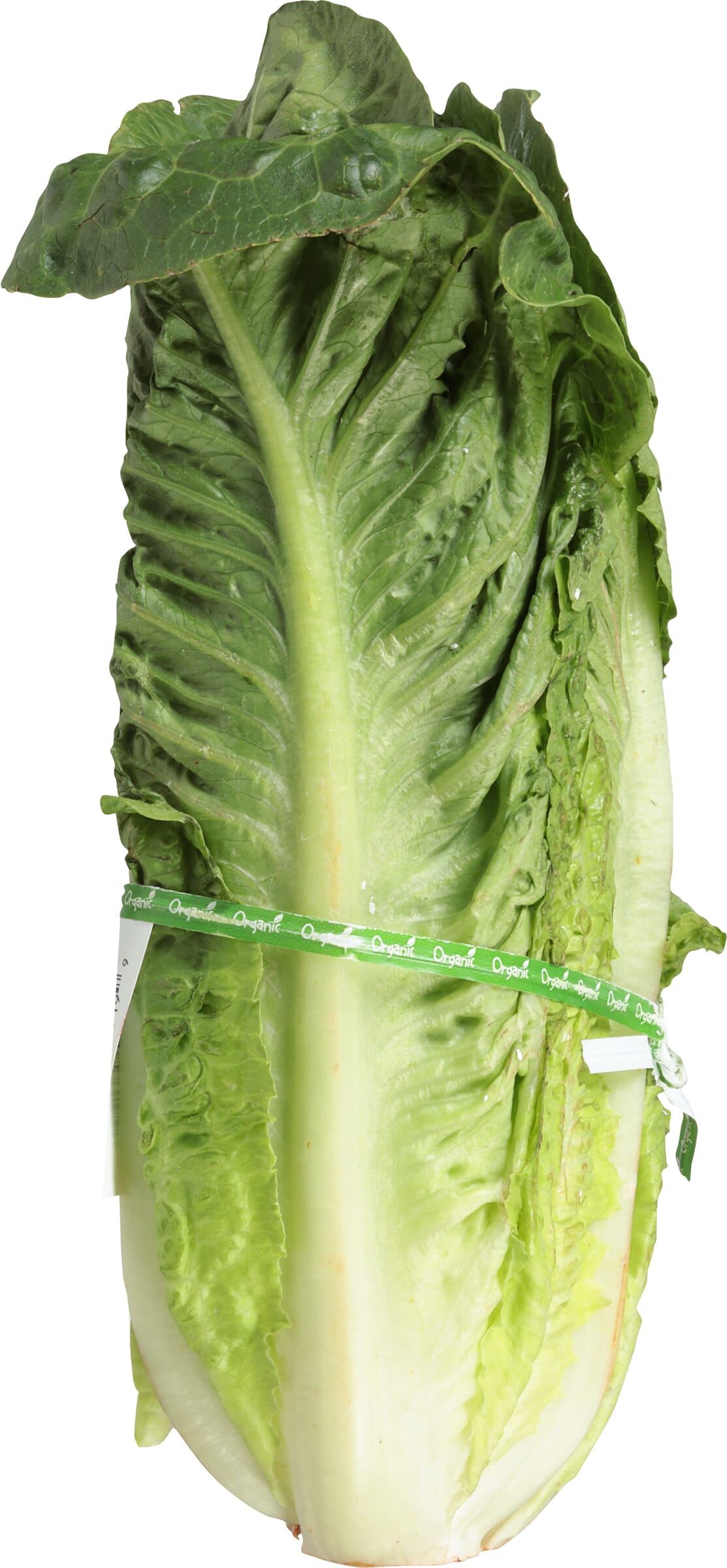lettuce H-E-B Organics Fresh Baby Spring Mix Lettuce - Texas-Size