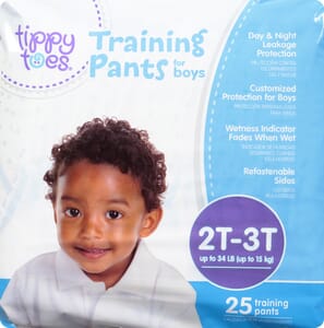 Comforts™ For Toddler Day & Night Training Pants Boys 2T-3T (16-34 lbs), 26  count - Fry's Food Stores